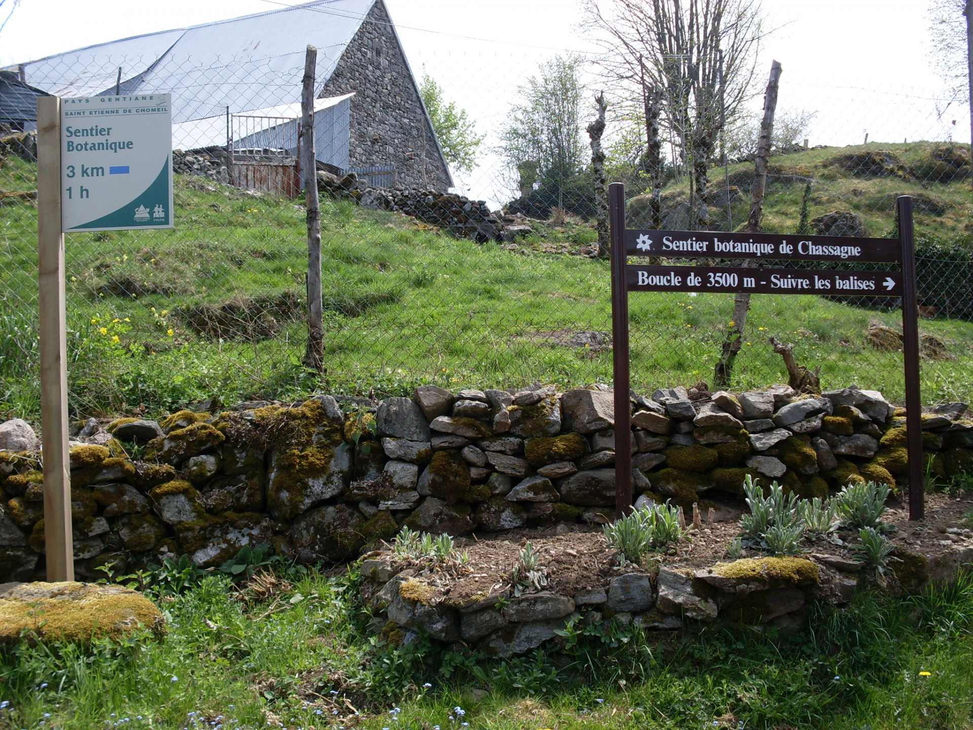 Description de l'image