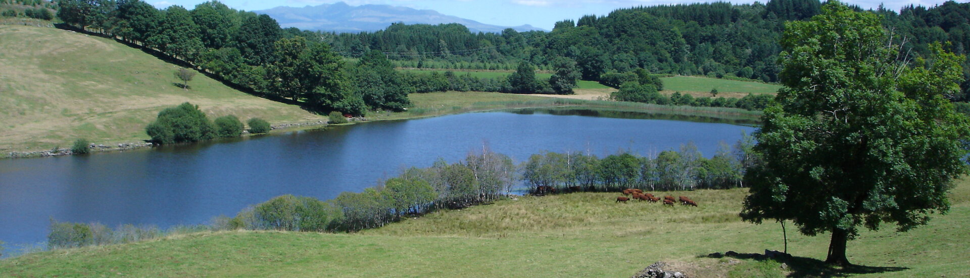 Saint-Etienne-de-Chomeil - Cantal