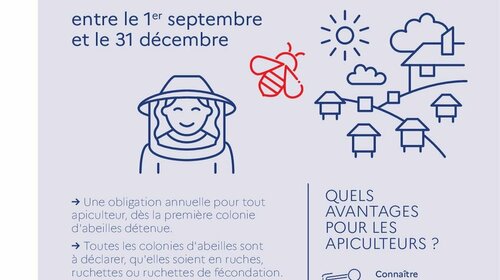 Déclaration des ruches