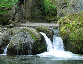 La pêche en Auvergne