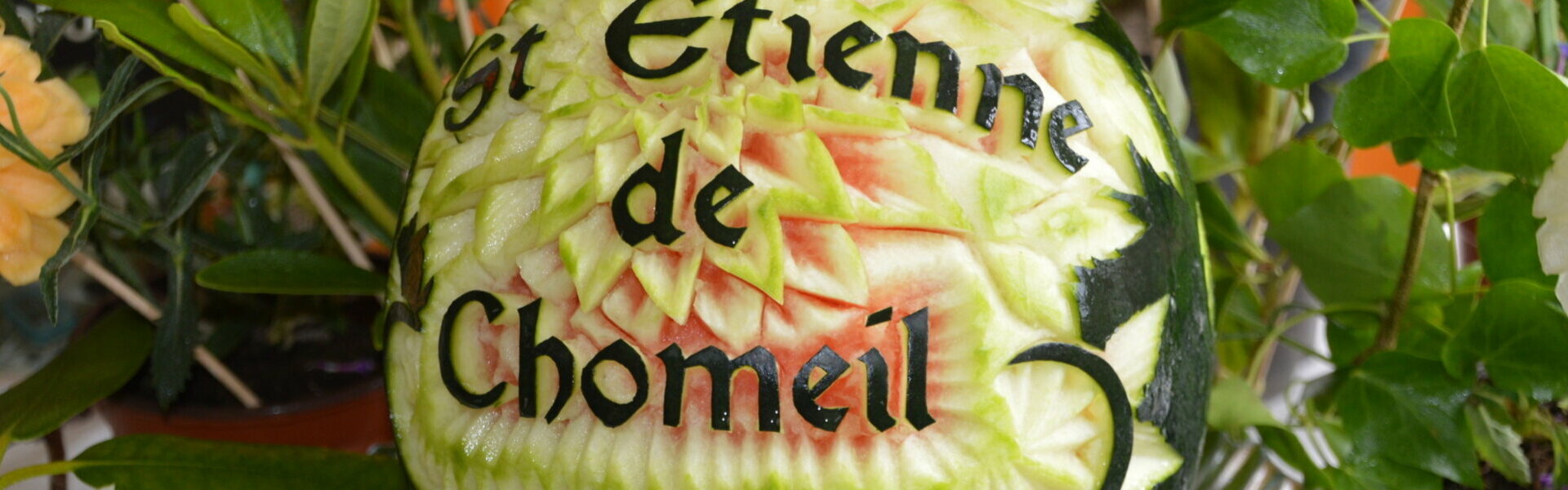 Bienvenue à Saint-Etienne-de-Chomeil